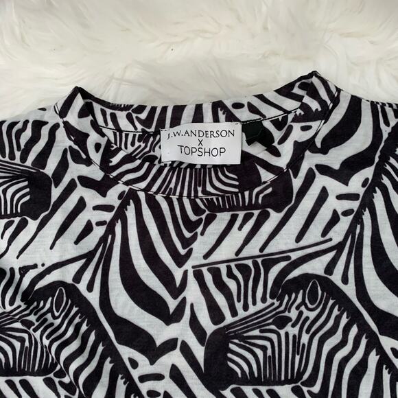 JW Anderson x Topshop black and white zebra print crewneck tee - Picture 5 of 7